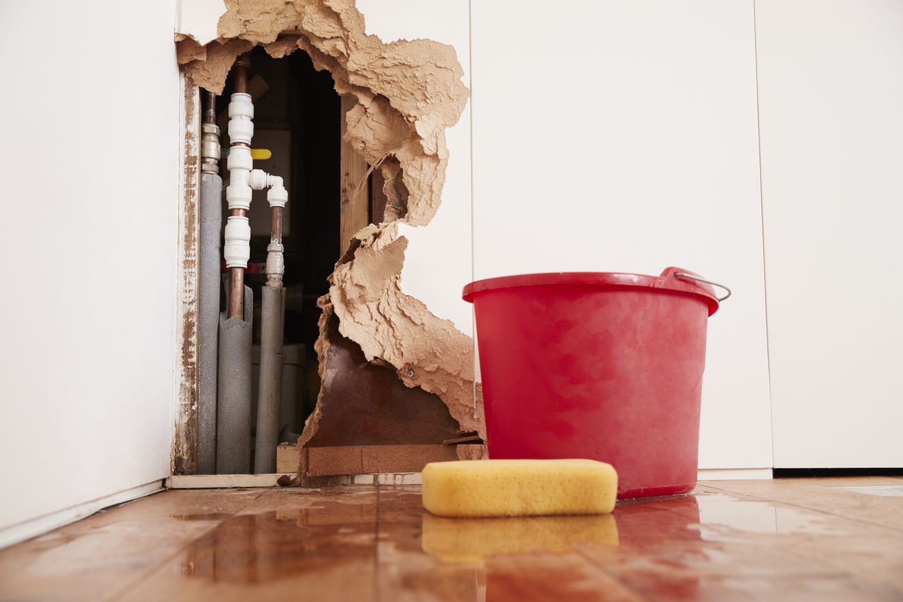 5 Things You Should Do Immediately When Faced with Water Damage