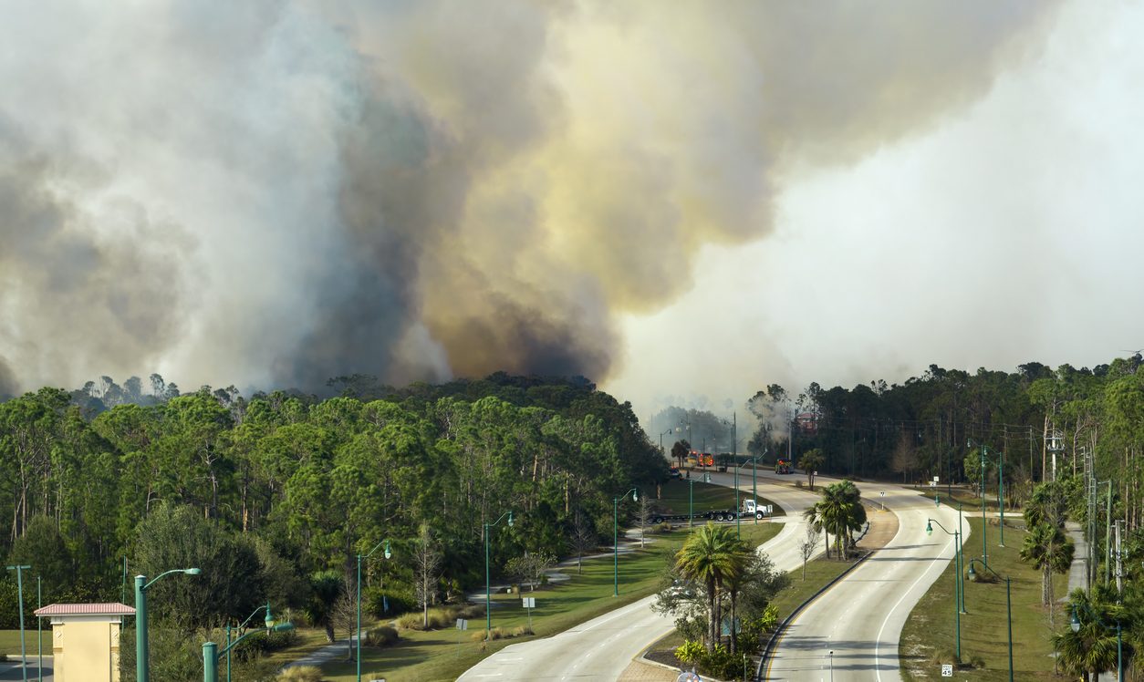 questions-to-ask-your-insurance-provider-about-wildfires