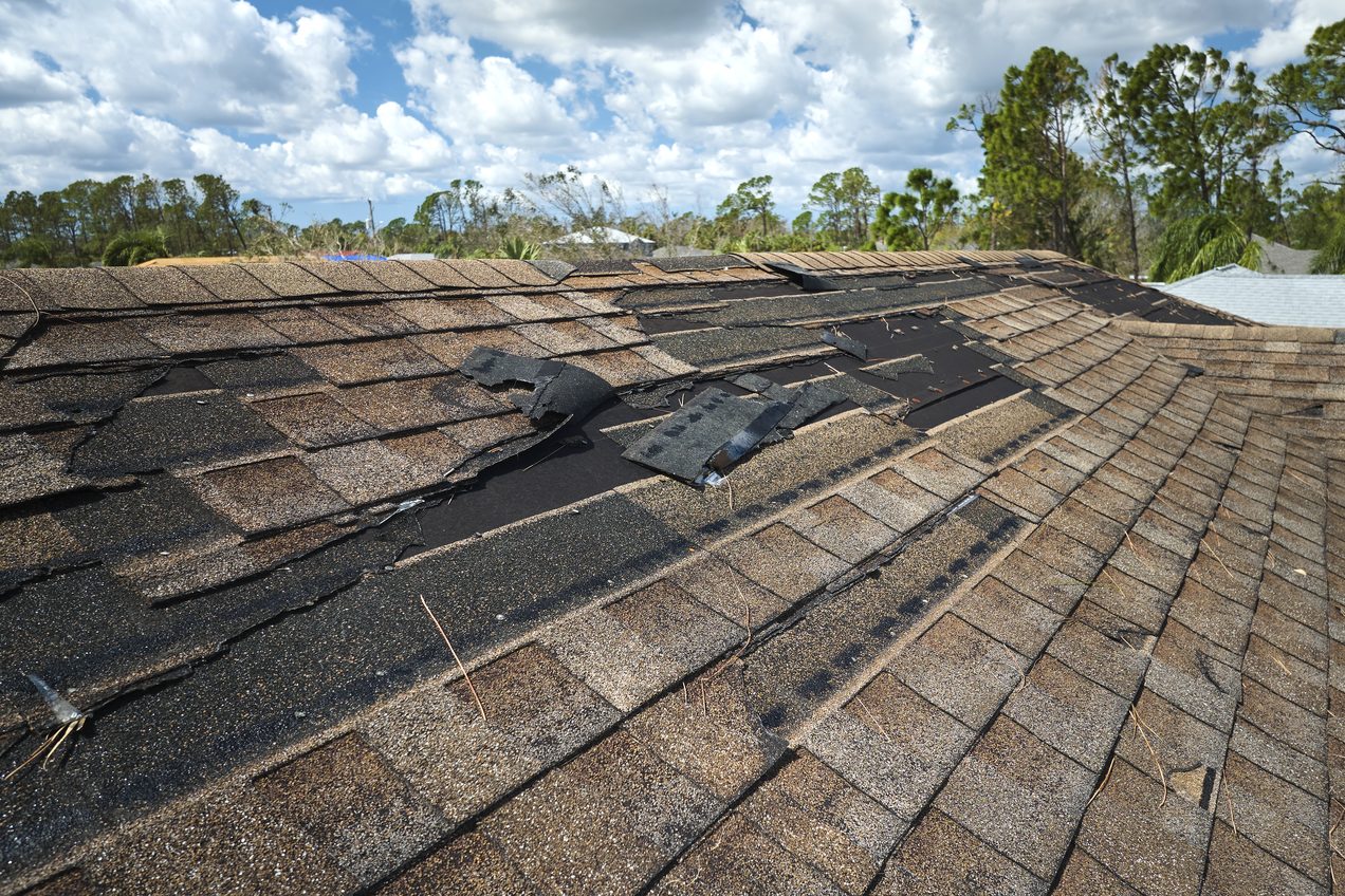 a close up view of shingles a roof damage.