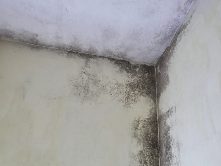 Roof leakage