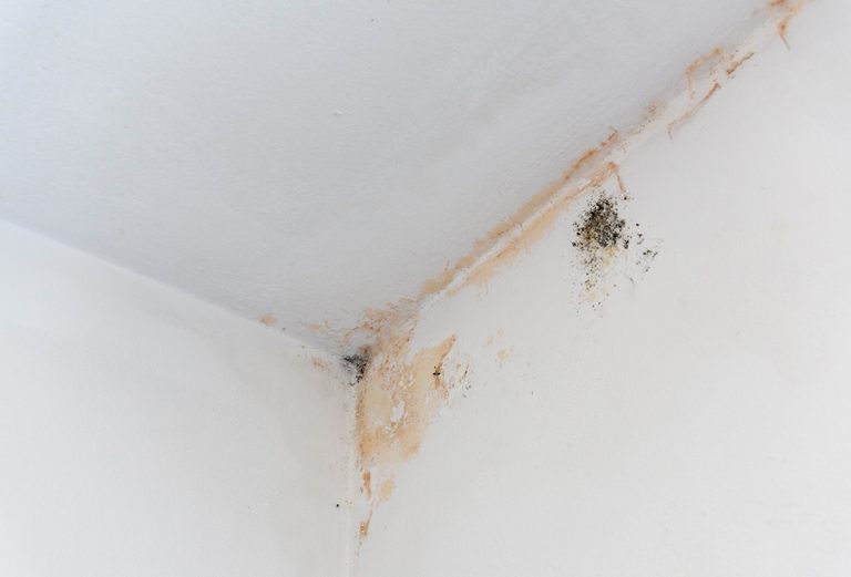 Close-up of a stain on a water-damaged ceiling