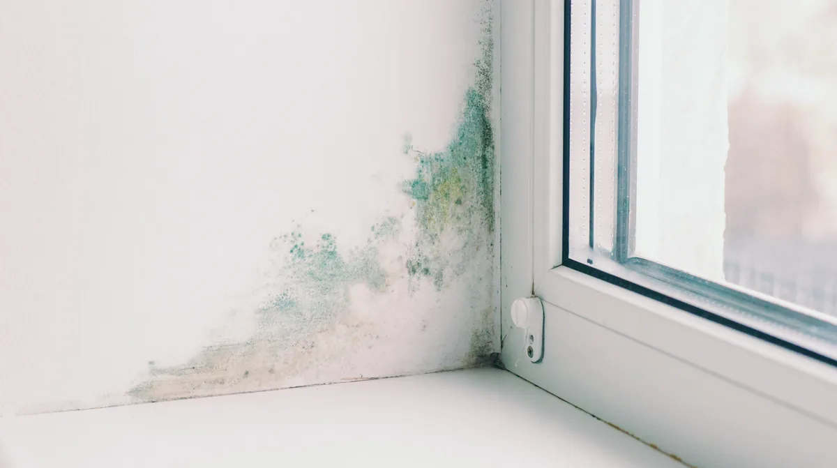 slab leak signs warm floor